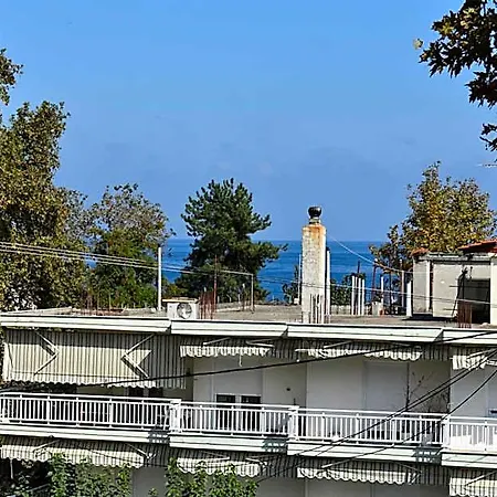 Galanis And 스코티나
