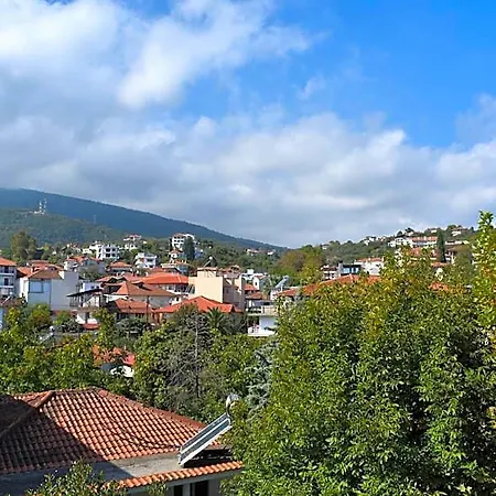 호텔 Galanis And